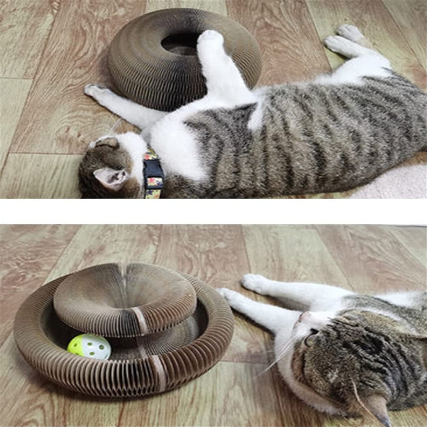 Scratcher Rolling Toy